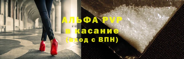 гашик Алексин
