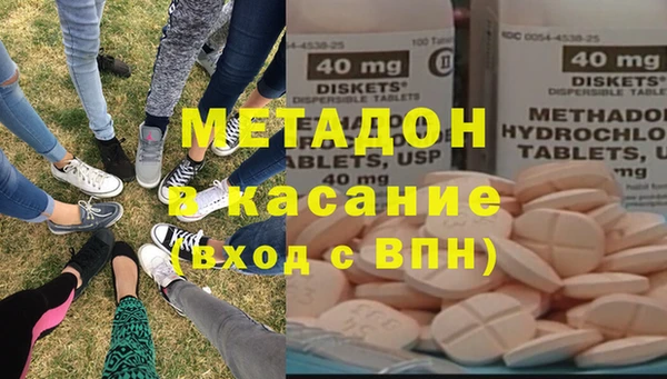 индика Алзамай