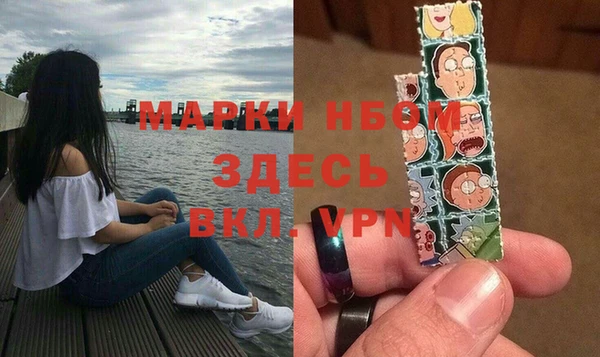 индика Алзамай