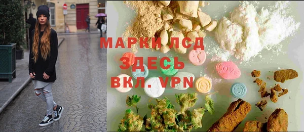 индика Алзамай
