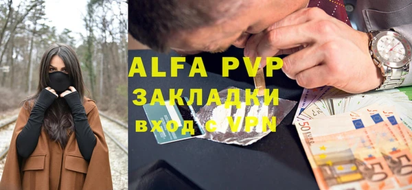 гашик Алексин