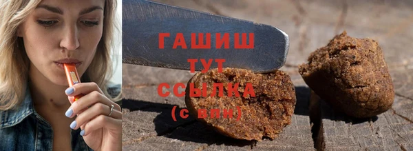 гашик Алексин