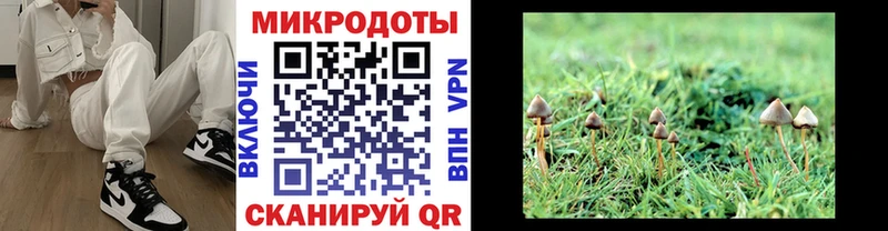 цена наркотик  Сочи  МЕГА как войти  Галлюциногенные грибы GOLDEN TEACHER 